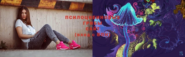 гидропоника Карпинск