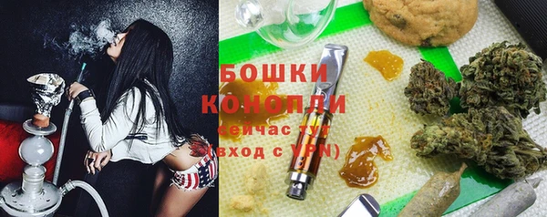 гидропоника Карпинск