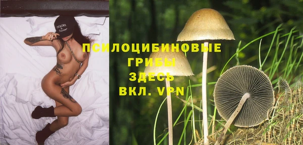 ALPHA PVP Карталы