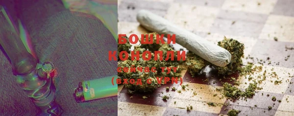 индика Кинешма