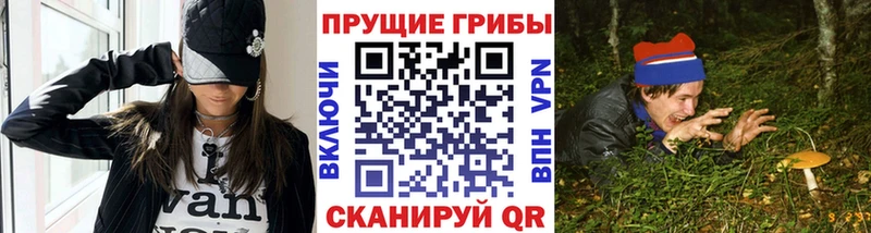Купить где  Нерюнгри  Галлюциногенные грибы Magic Shrooms 